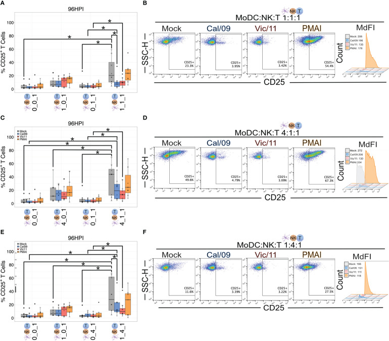 Figure 6