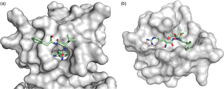 Fig. 19