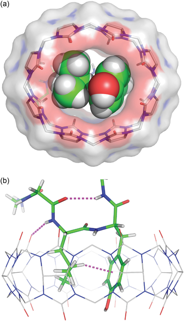 Fig. 16