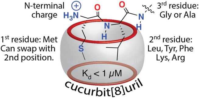 Fig. 12