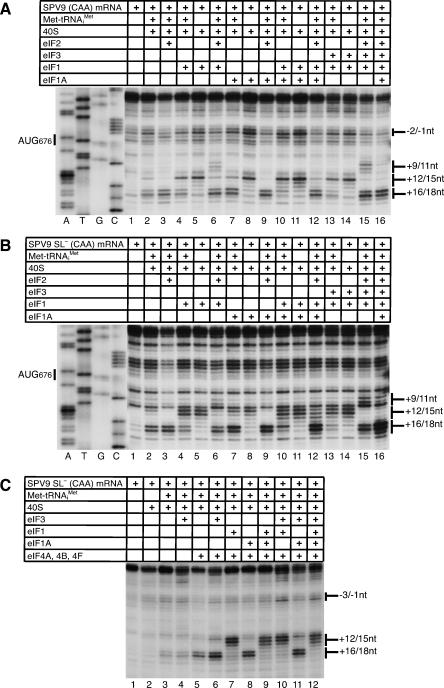 FIGURE 7.