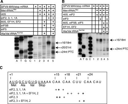 FIGURE 9.