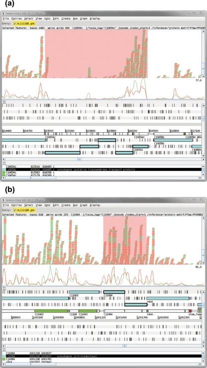 Fig. 3. 