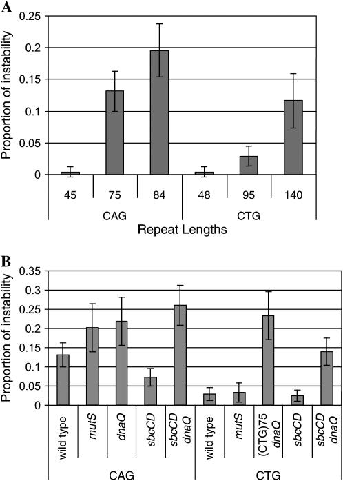 Figure 3.—