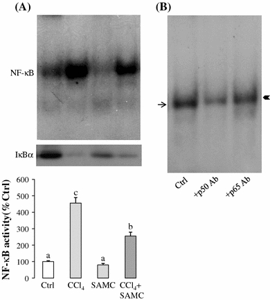 Fig. 7