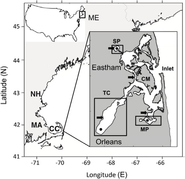 Fig. 1