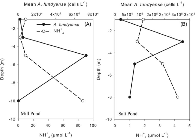 Fig. 8