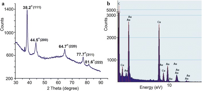 Fig. 3