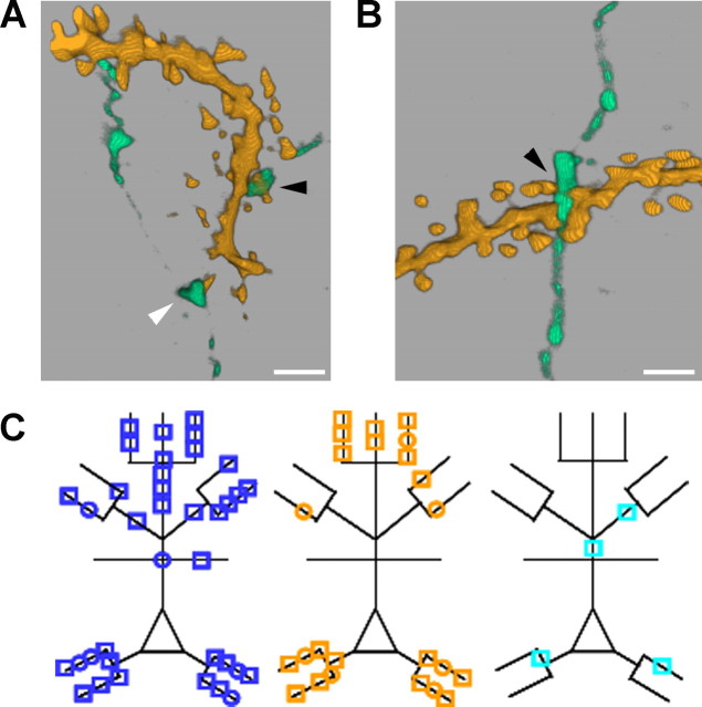 Figure 7.