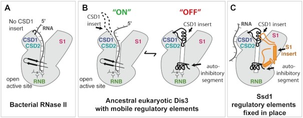 Figure 7.