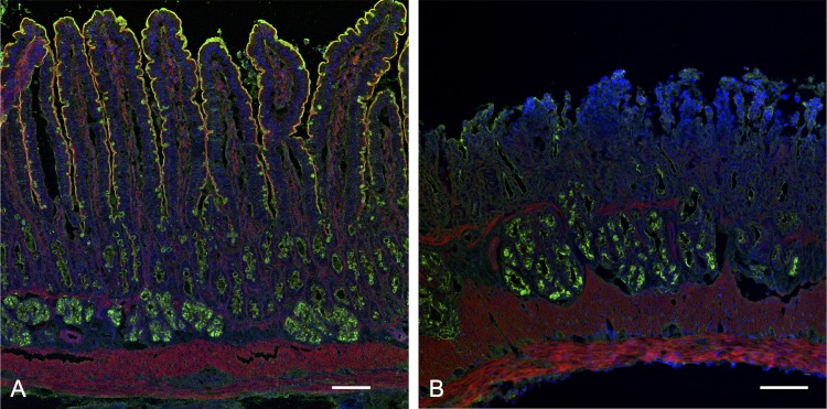 Fig. 3.