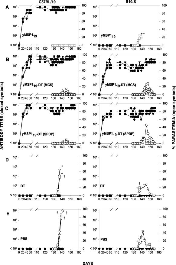 FIG.7.