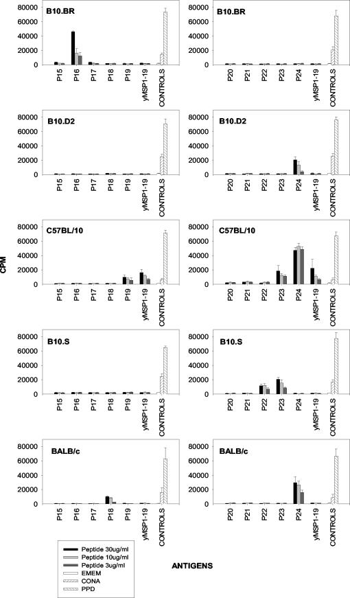 FIG.3.