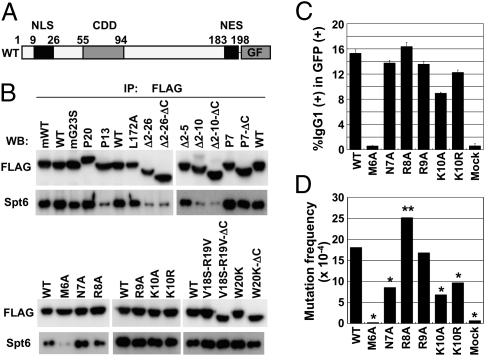 Fig. 6.