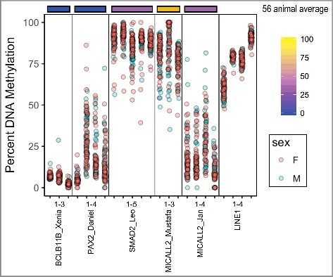 Figure 5.