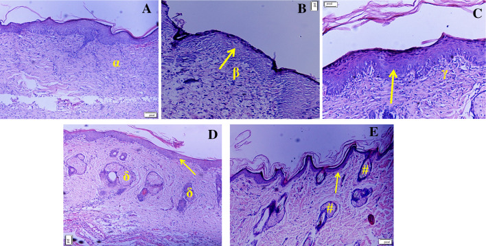 Fig. 10