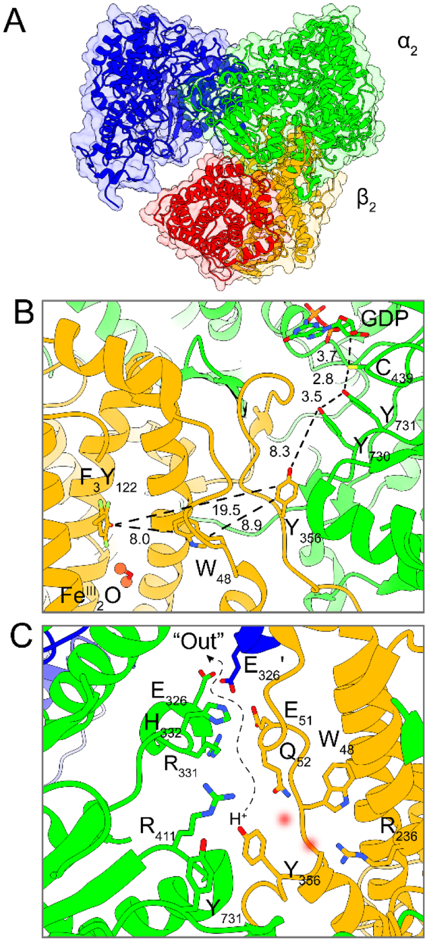 Figure 2.