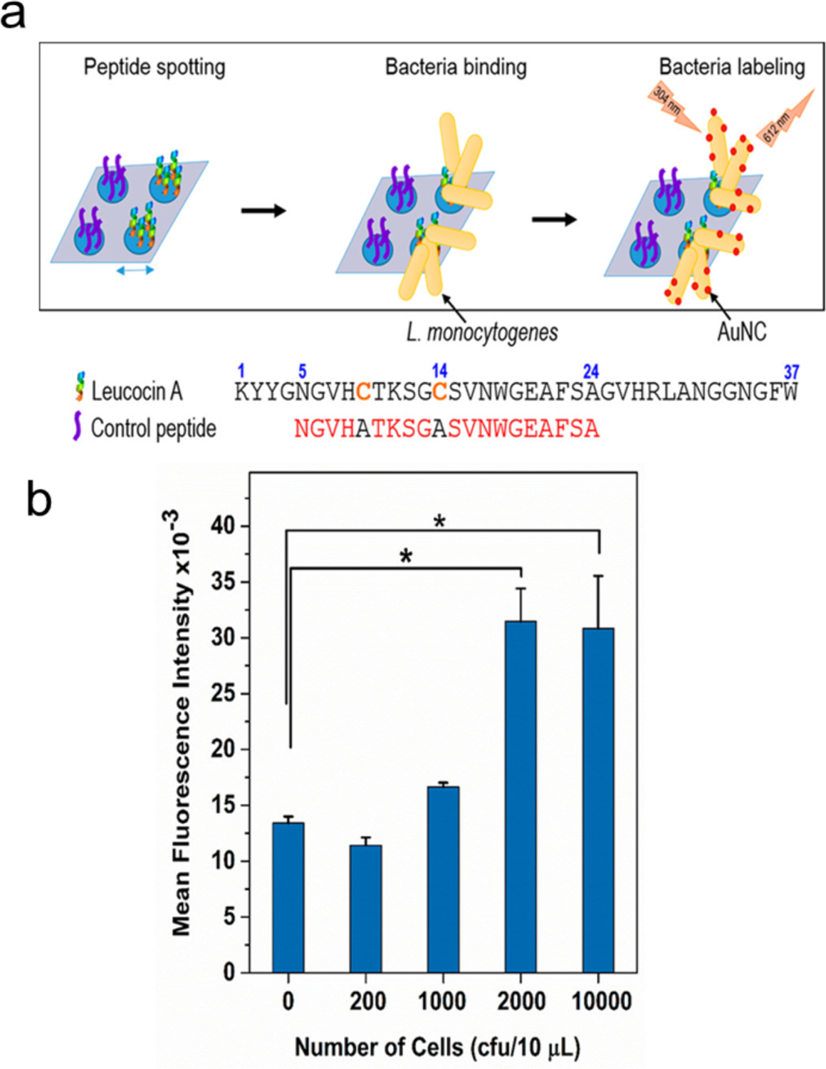 Figure 13.