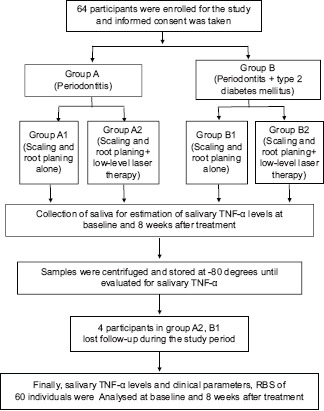 Flow Chart 1