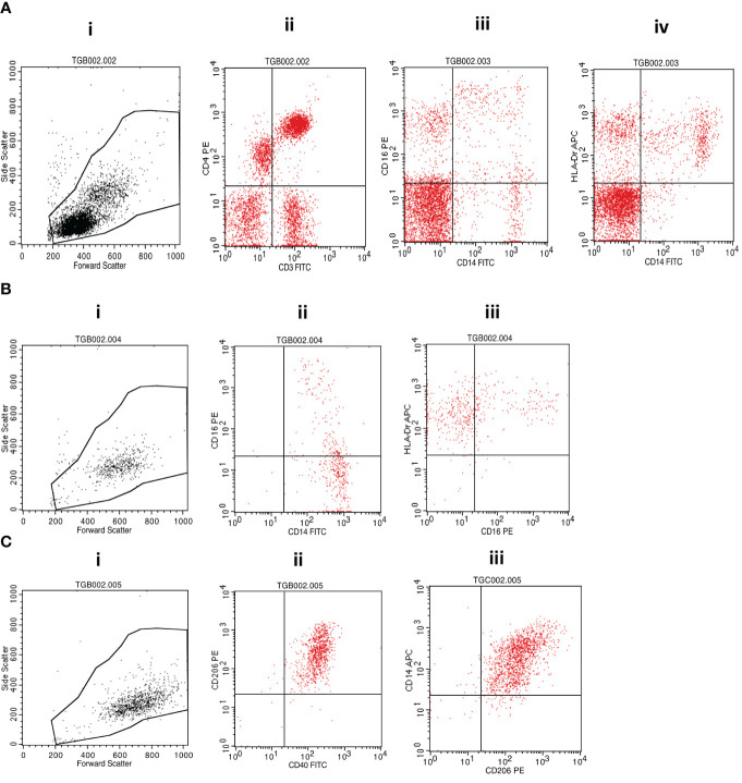 Figure 2