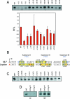 FIG. 1.