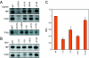 FIG. 2.