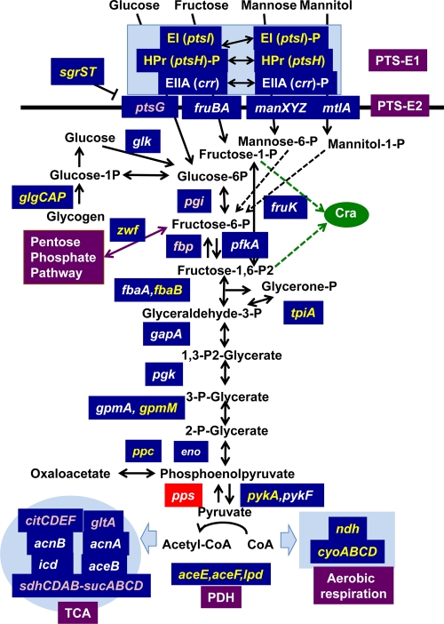 FIG. 6.