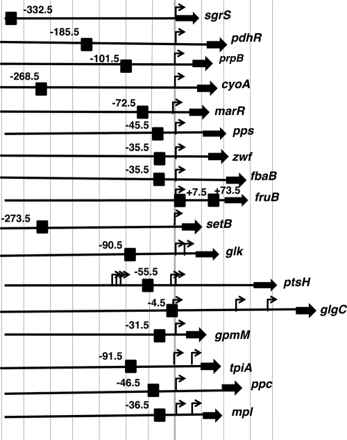 FIG. 4.