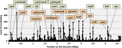 FIG. 1.