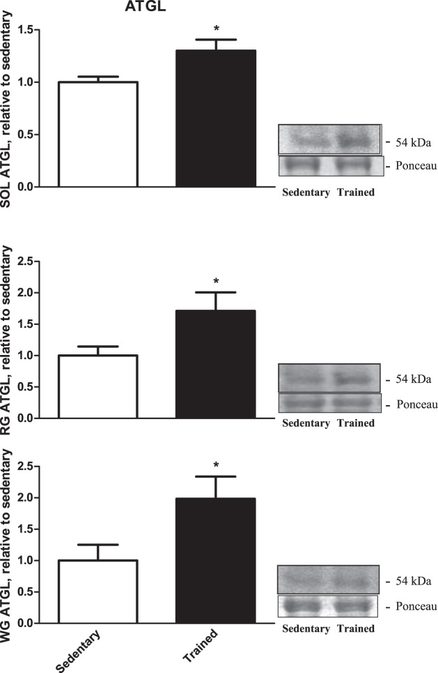 Fig. 3.