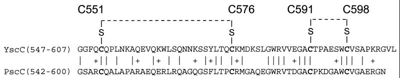 FIG. 5