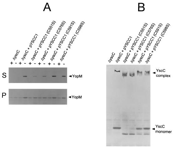 FIG. 3