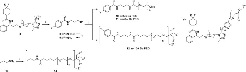 Scheme 2