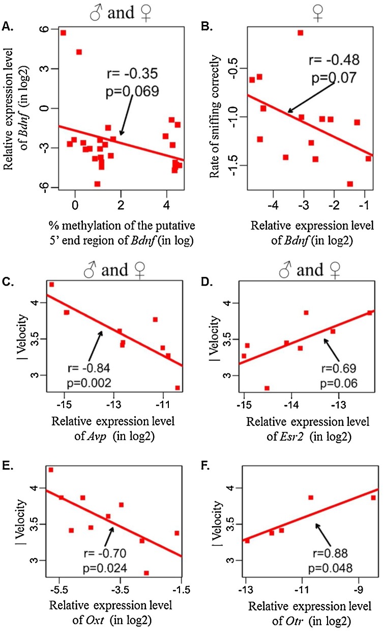 Fig. 13