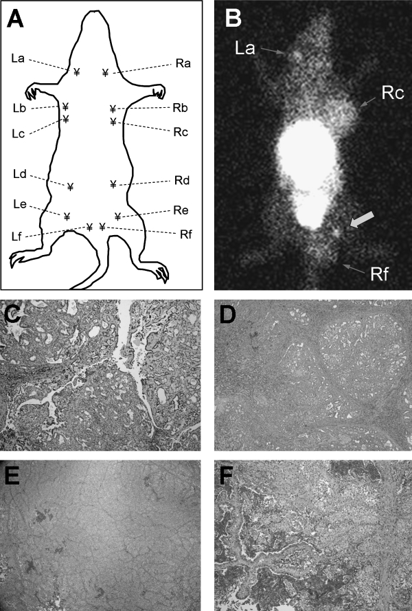 FIG. 3.