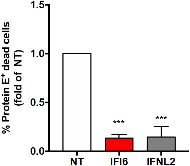 FIG 5