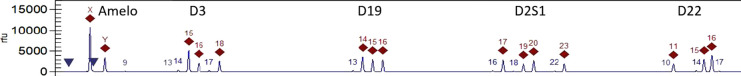 Figure 2.