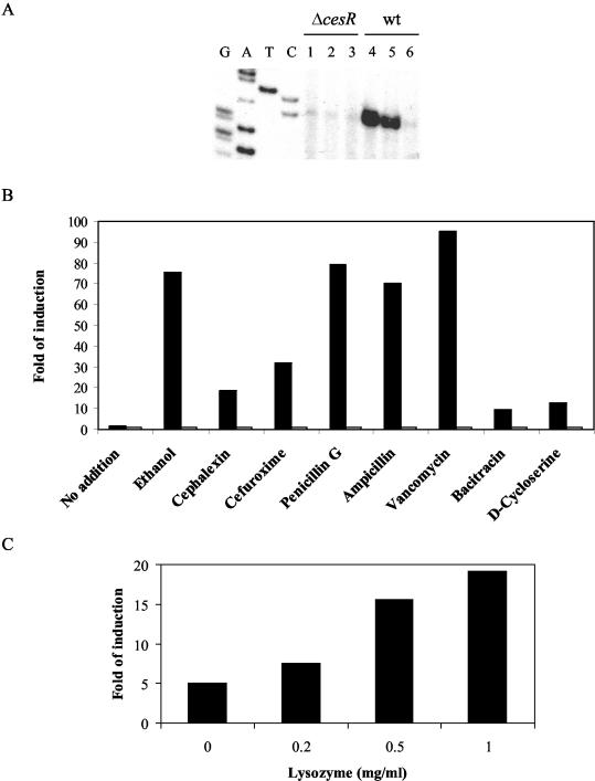 FIG. 6.