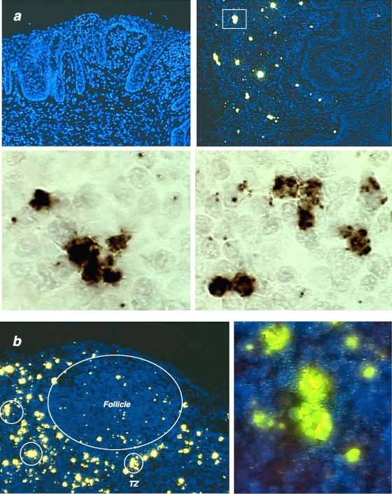 FIG. 7.