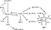 FIG. 2.