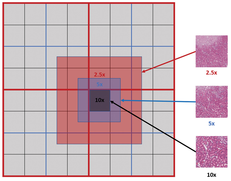 Figure 3.