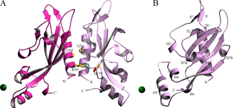 FIGURE 1.