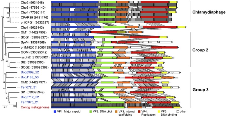 FIGURE 4