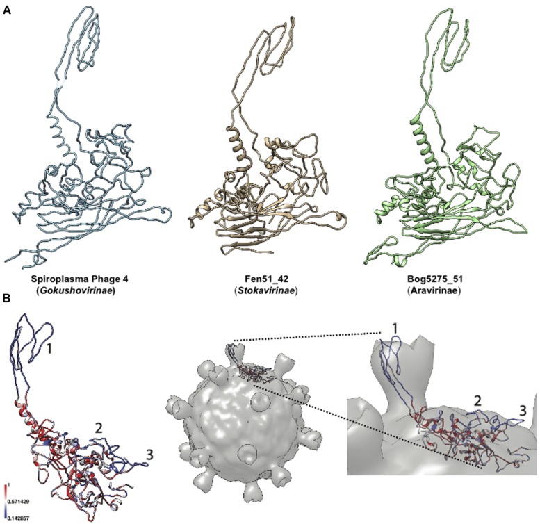 FIGURE 2