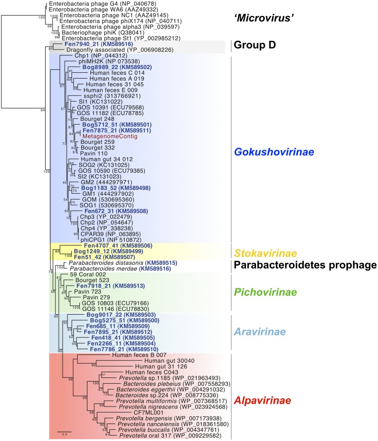 FIGURE 1