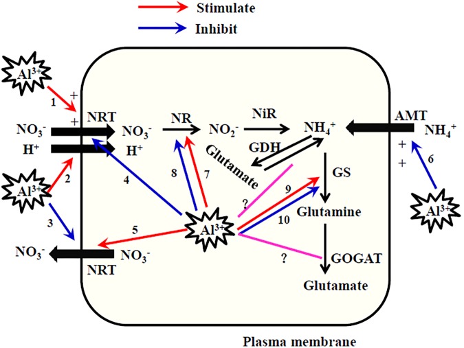 FIGURE 2