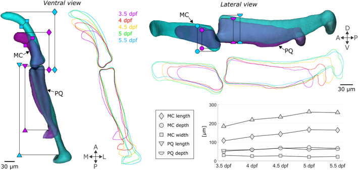 FIGURE 3