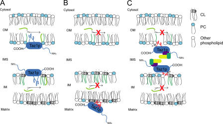 Figure 7.