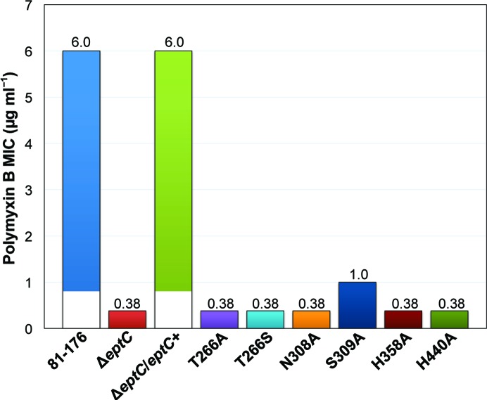 Figure 5