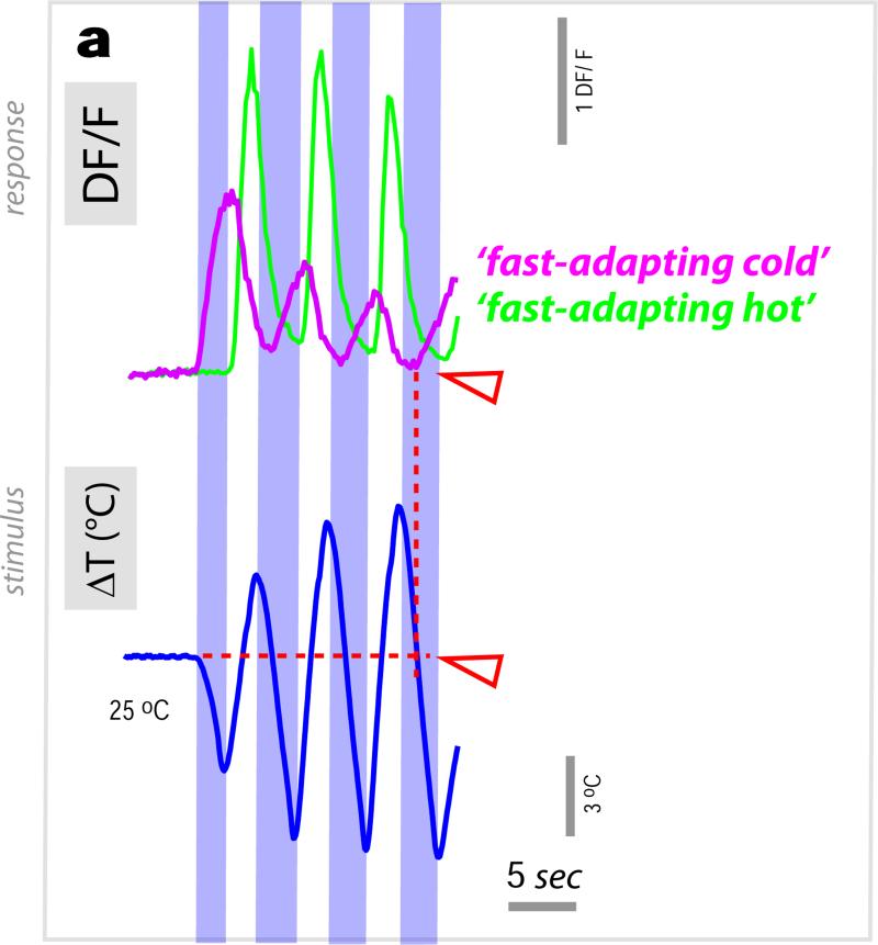 Extended data Figure 5